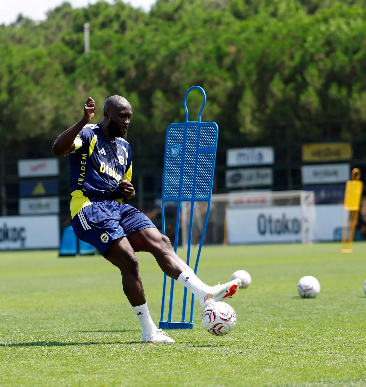 Fenerbahçe UEFA kadrosuna Lukaku'yu ekledi
