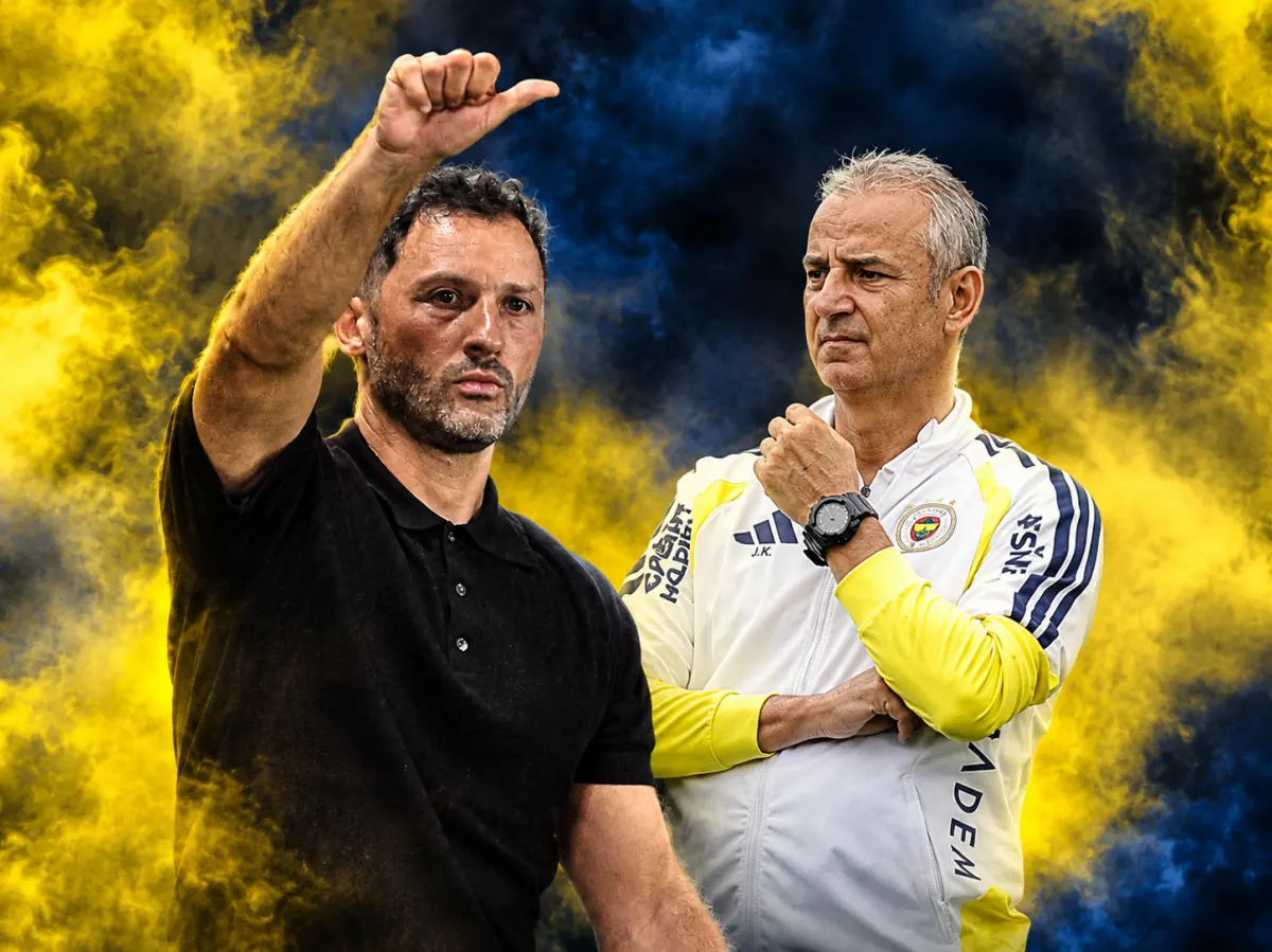 Fenerbahçe'de Nene, Kartal döneminde kenarda kaldı